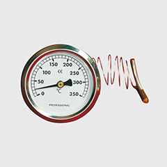WZA-ST/8 Capillary Thermometer