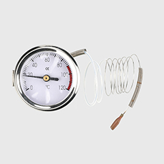 WZA-ST/10 Capillary Thermometer