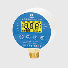 SKP-20智能压力控制器